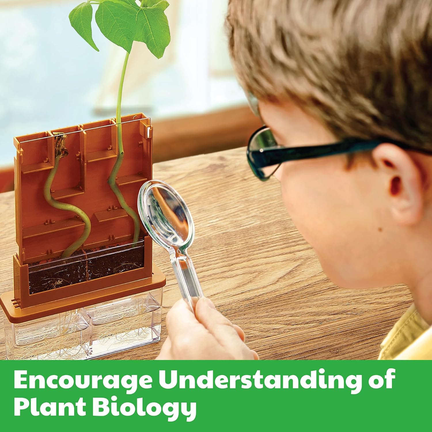 4M: Green Science - Grow-A-Maze - DIY Mini Plant Growth Lab, Customizable Maze, Assemble-Plant-Observe The Power of Nature, STEAM Project, Kids 5+ - Image 4