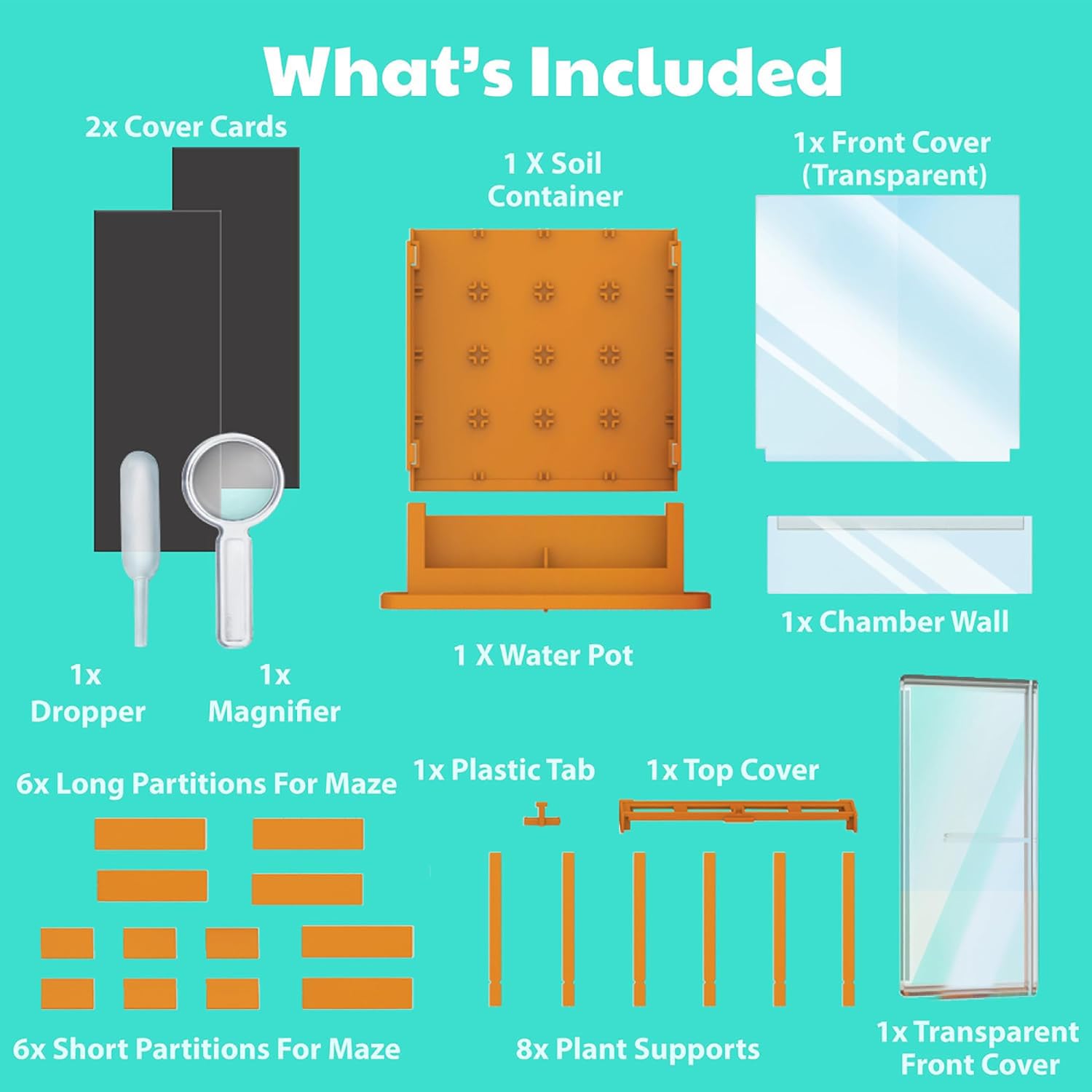 4M: Green Science - Grow-A-Maze - DIY Mini Plant Growth Lab, Customizable Maze, Assemble-Plant-Observe The Power of Nature, STEAM Project, Kids 5+ - Image 8