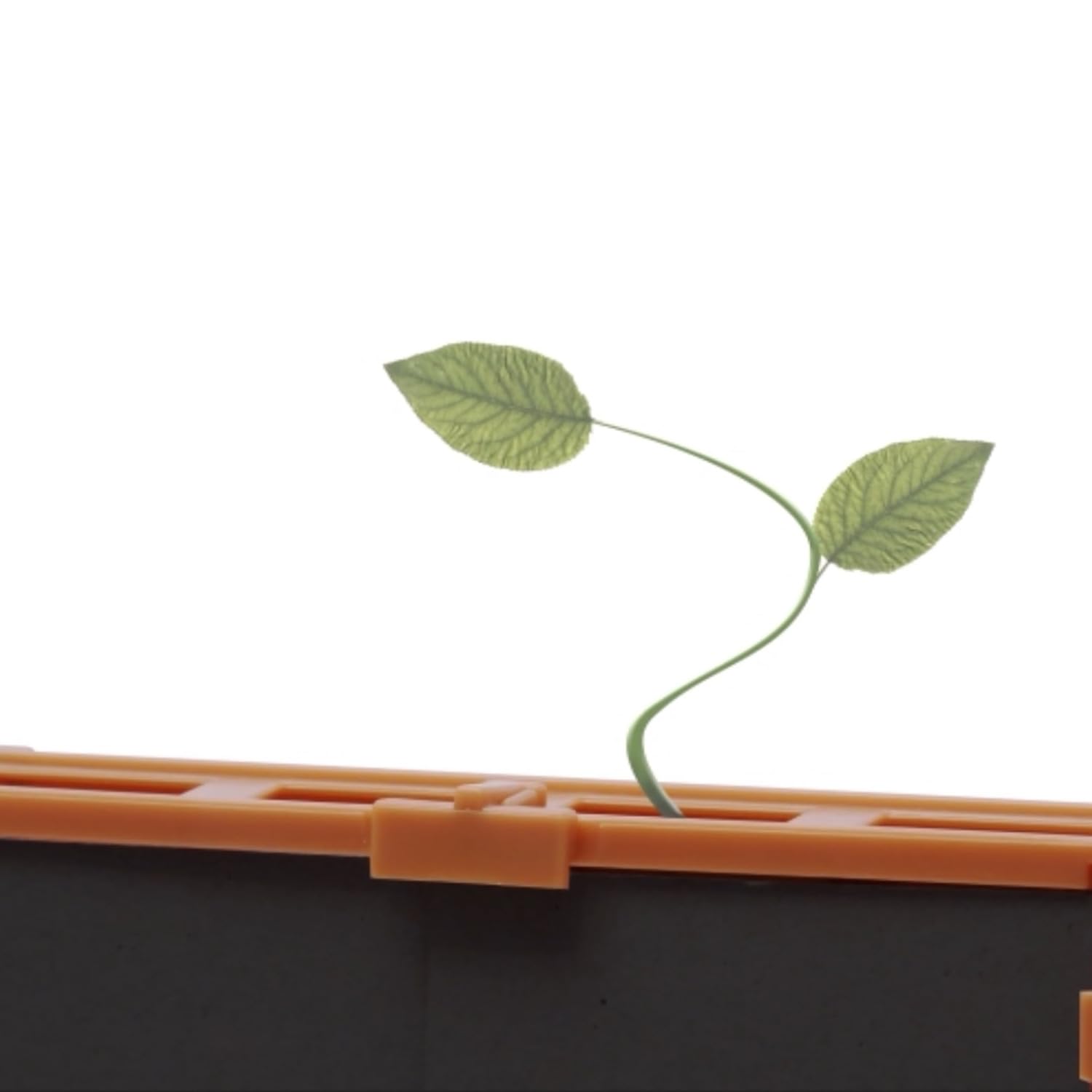 4M: Green Science - Grow-A-Maze - DIY Mini Plant Growth Lab, Customizable Maze, Assemble-Plant-Observe The Power of Nature, STEAM Project, Kids 5+ - Image 9