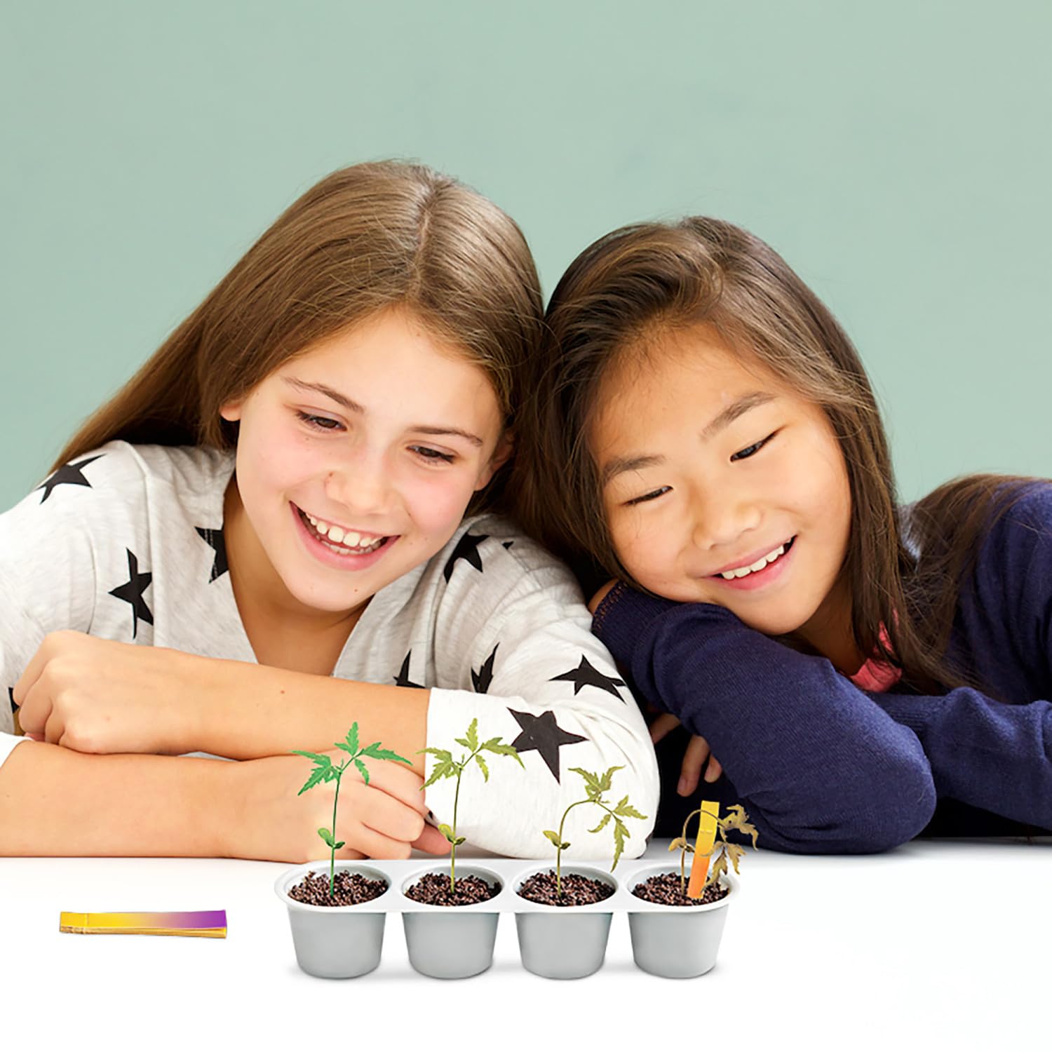 4M: Green Science - Weather Science - DIY Mini Observatory Kit, Static Electricity, Lightning-Cloud Formation, Build A Water Cycle Model, STEAM Kid 5+ - Image 6