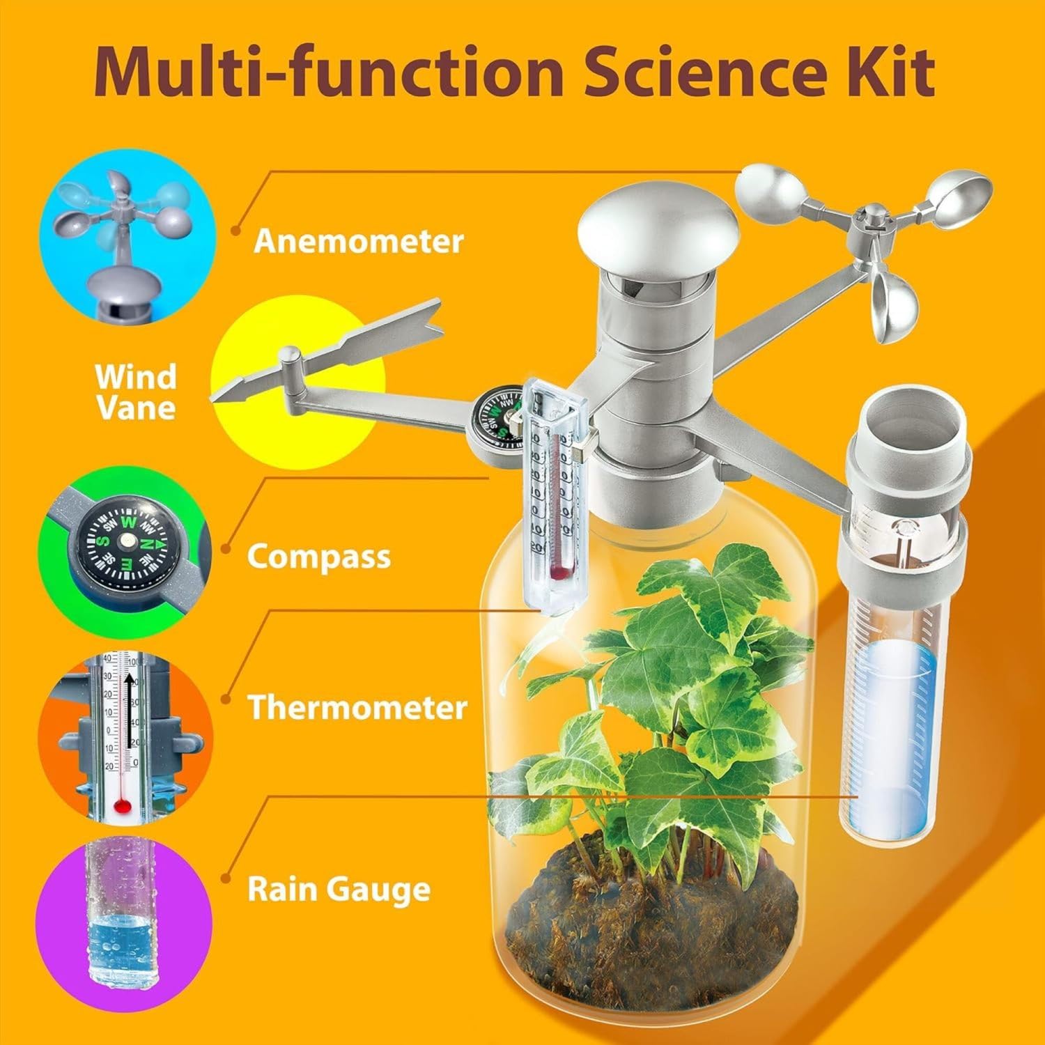 4M: Green Science - Weather Station - DIY Mini Observatory Kit, Observe & Record Wind-Rain-Temperature, Create A Terrarium in A Bottle, STEAM, Kids 5+ - Image 4