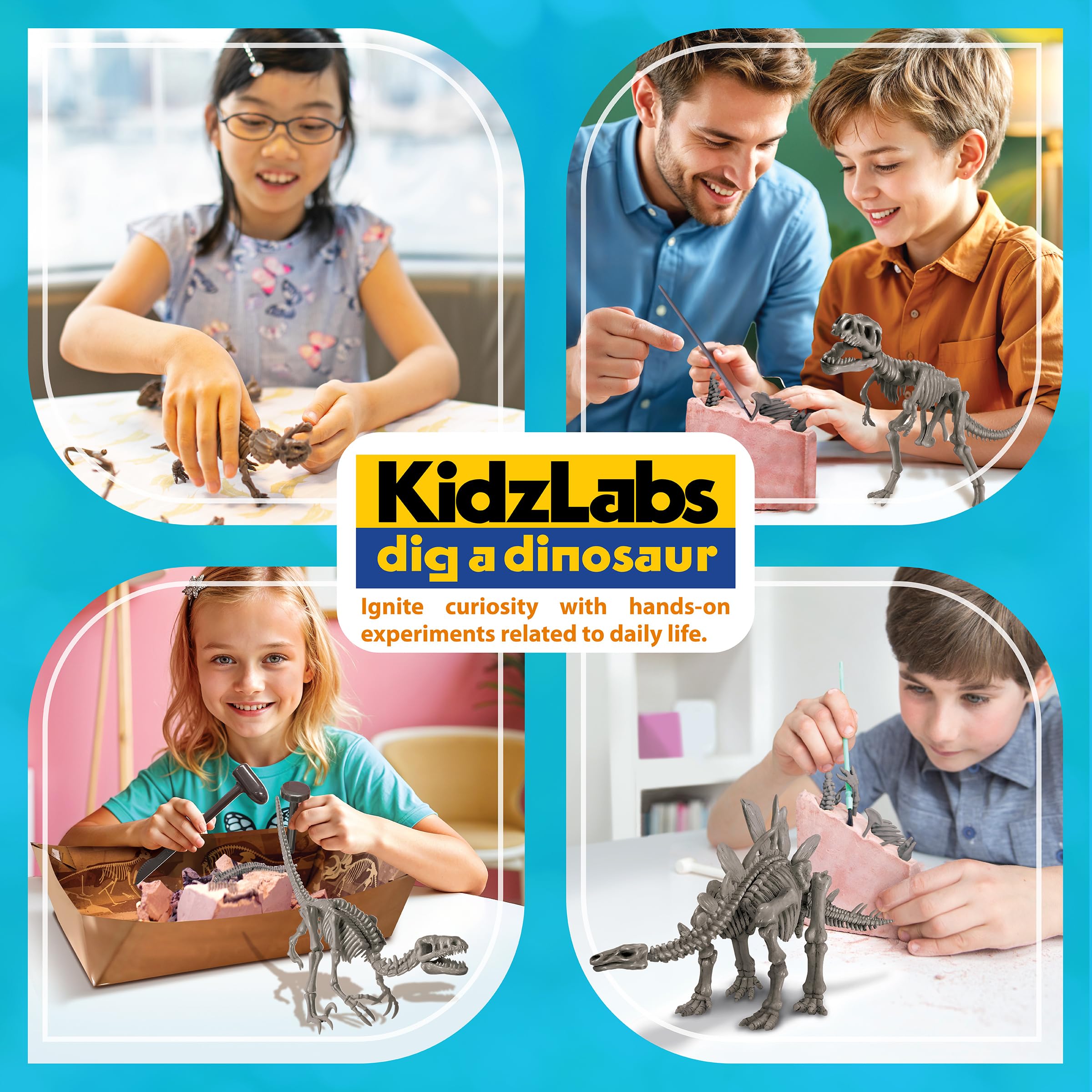 4M KidzLabs Dig a Dino Kit for Kids Ages 8+ – Dinosaur Fossil Excavation Set with Realistic Bones, STEM Paleontologist Digging Kit with Hammer, Chisel, Brush, Educational Science Toy - Image 6