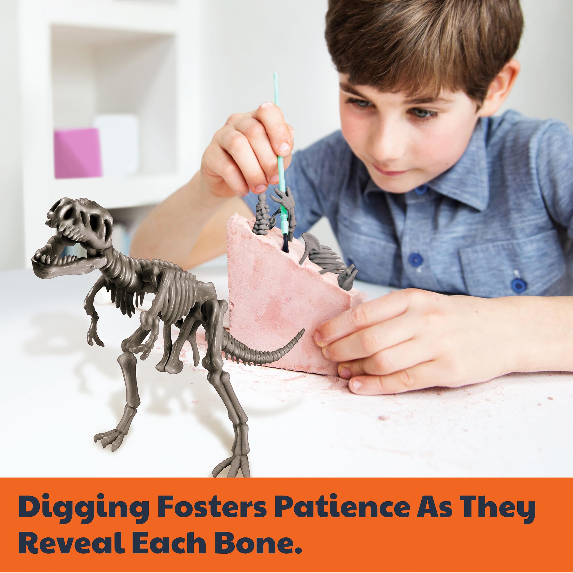 4M KidzLabs Dig a Dino Kit for Kids Ages 8+ – Dinosaur Fossil Excavation Set with Realistic Bones, STEM Paleontologist Digging Kit with Hammer, Chisel, Brush, Educational Science Toy - Image 8