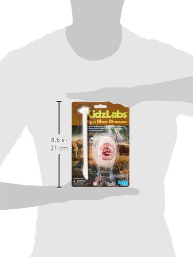 Rhode Island Novelty KidzLabs Dig A Glow Dinosaur Excavation Kit, Assorted Styles, 1 Piece - Image 3